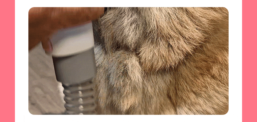 7d7891ddd445109470625c7501fa959b_1772526940_2551.gif